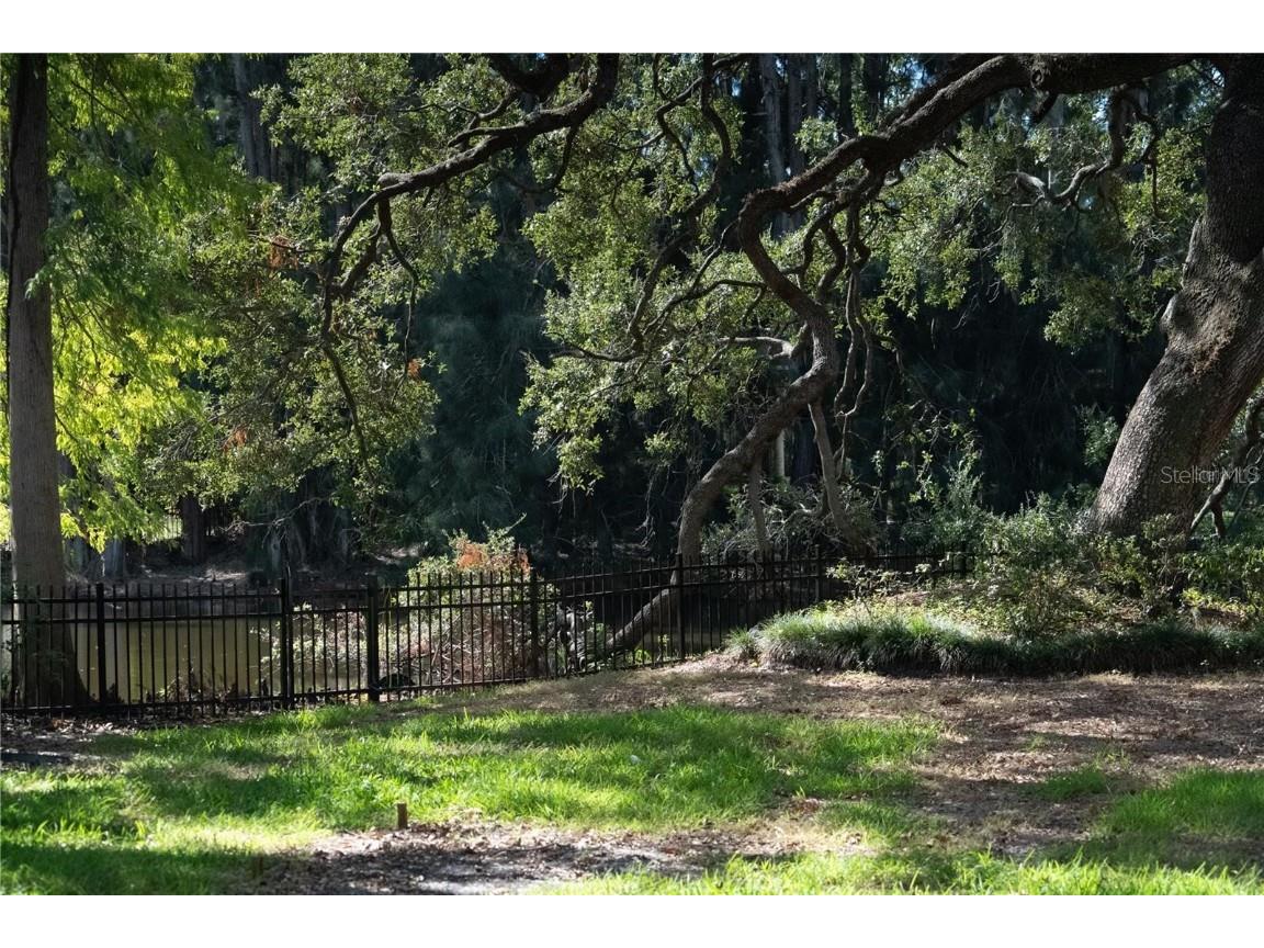 2303 S Hesperides Street Tampa FL 33629 W7871457 image4