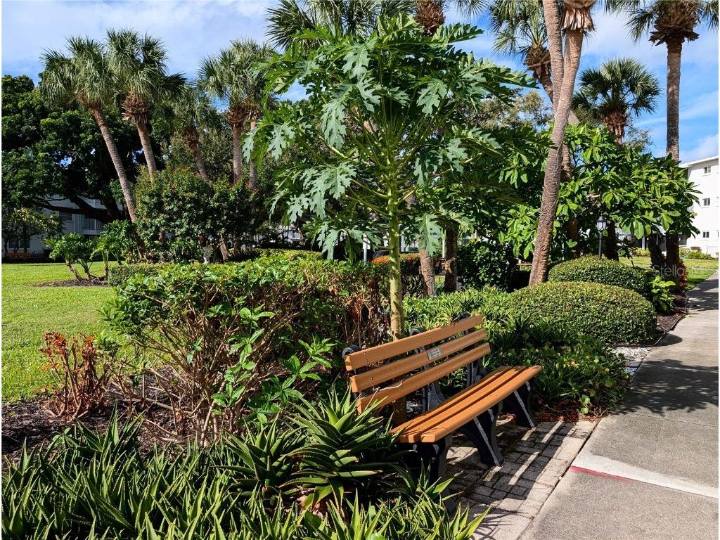 2303 Sunset Drive #H7 Bradenton FL 34207 A4667560 image28