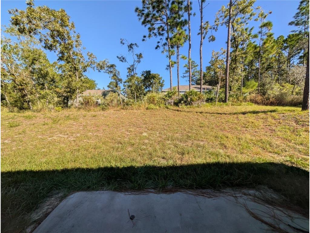 2303 W Citrus Springs Boulevard Citrus Springs FL 34434 W7880254 image16