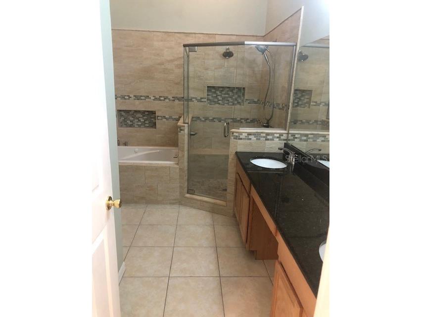 2303 Walnut Canyon Drive Kissimmee FL 34758 S5116352 image10