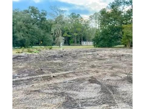 23031 Jerome Road Land O Lakes FL 34639 U8226489 image1