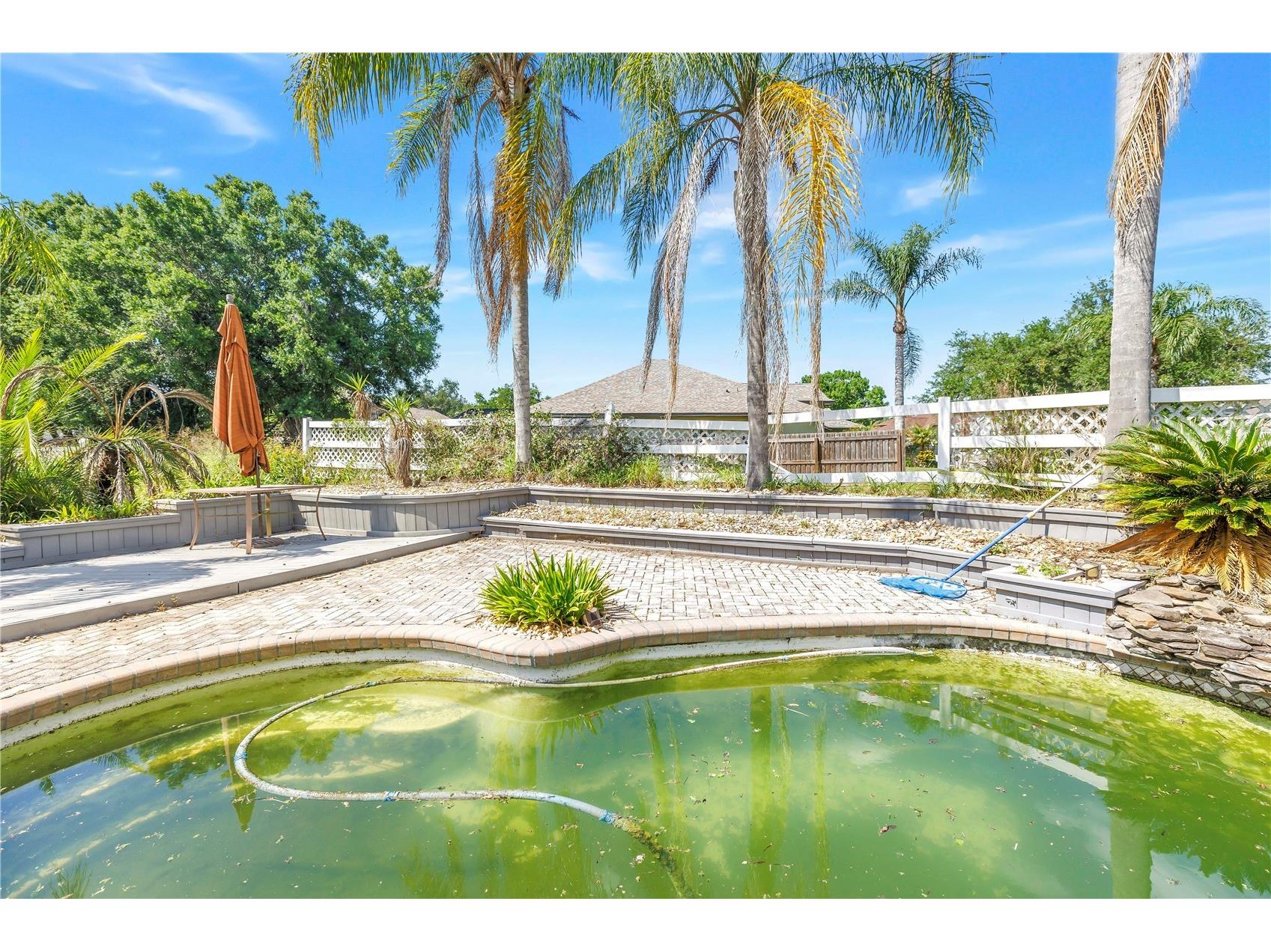 23037 Brownwood Court Land O Lakes FL 34639 TB8504431 image53