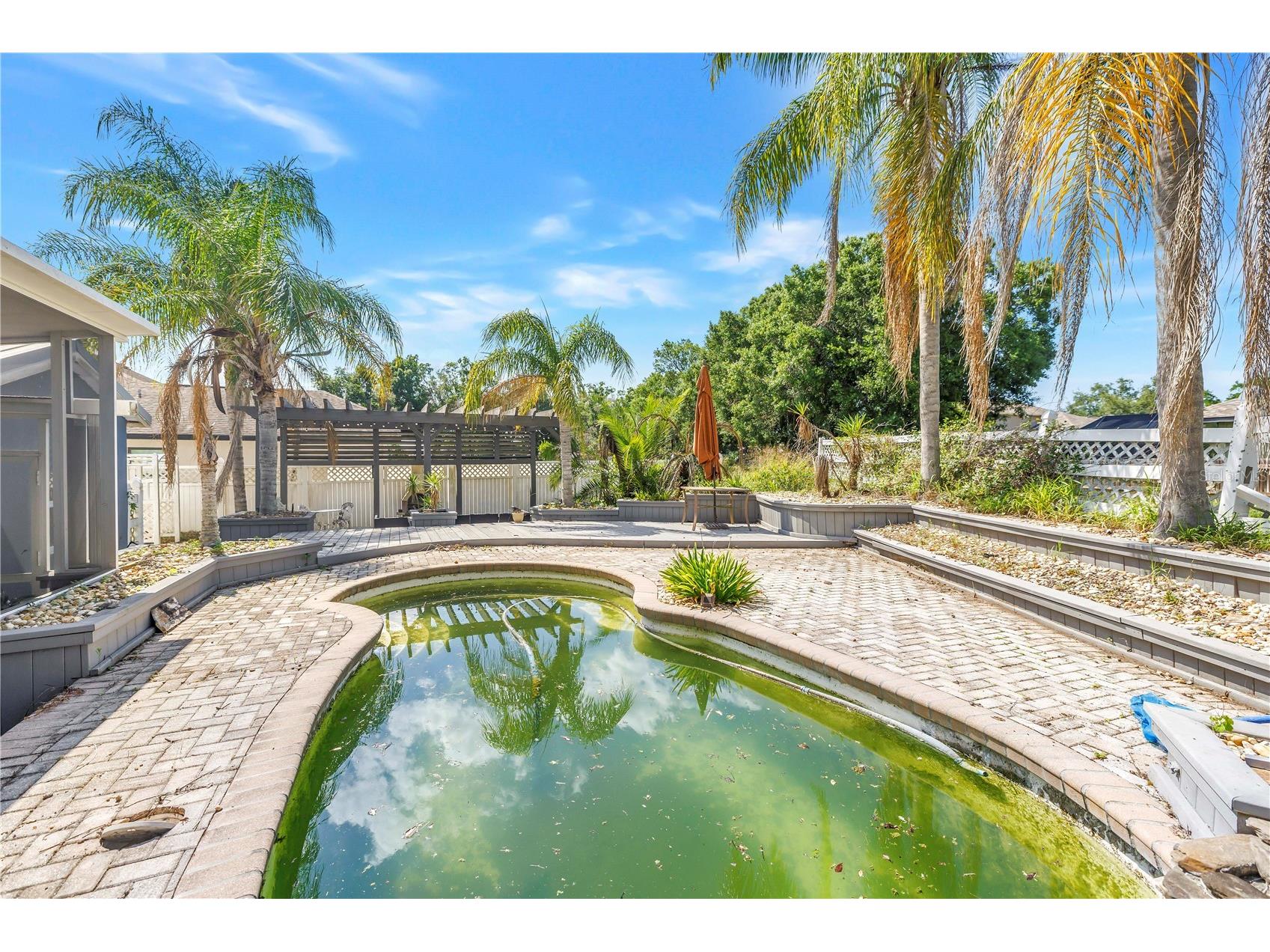 23037 Brownwood Court Land O Lakes FL 34639 TB8504431 image54