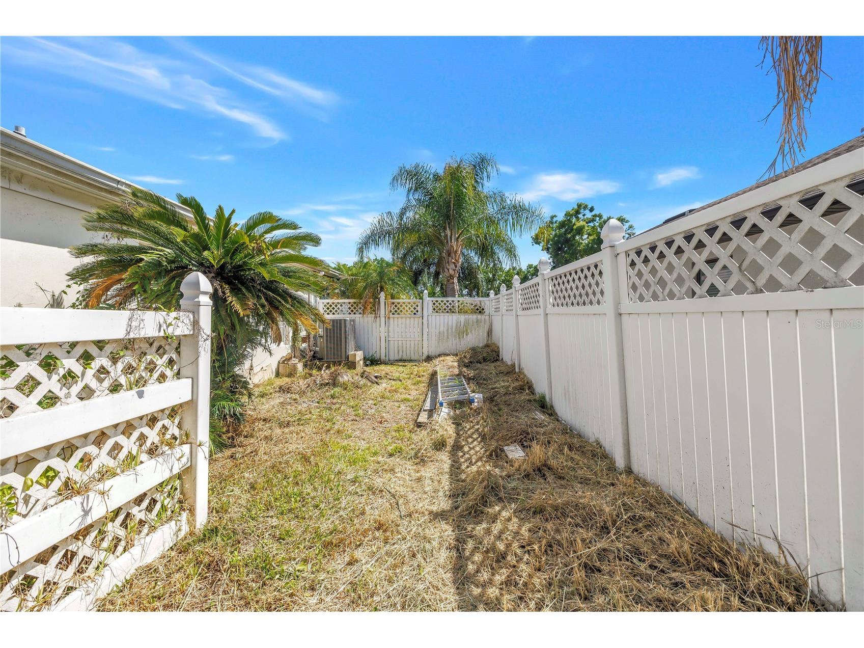 23037 Brownwood Court Land O Lakes FL 34639 TB8504431 image60