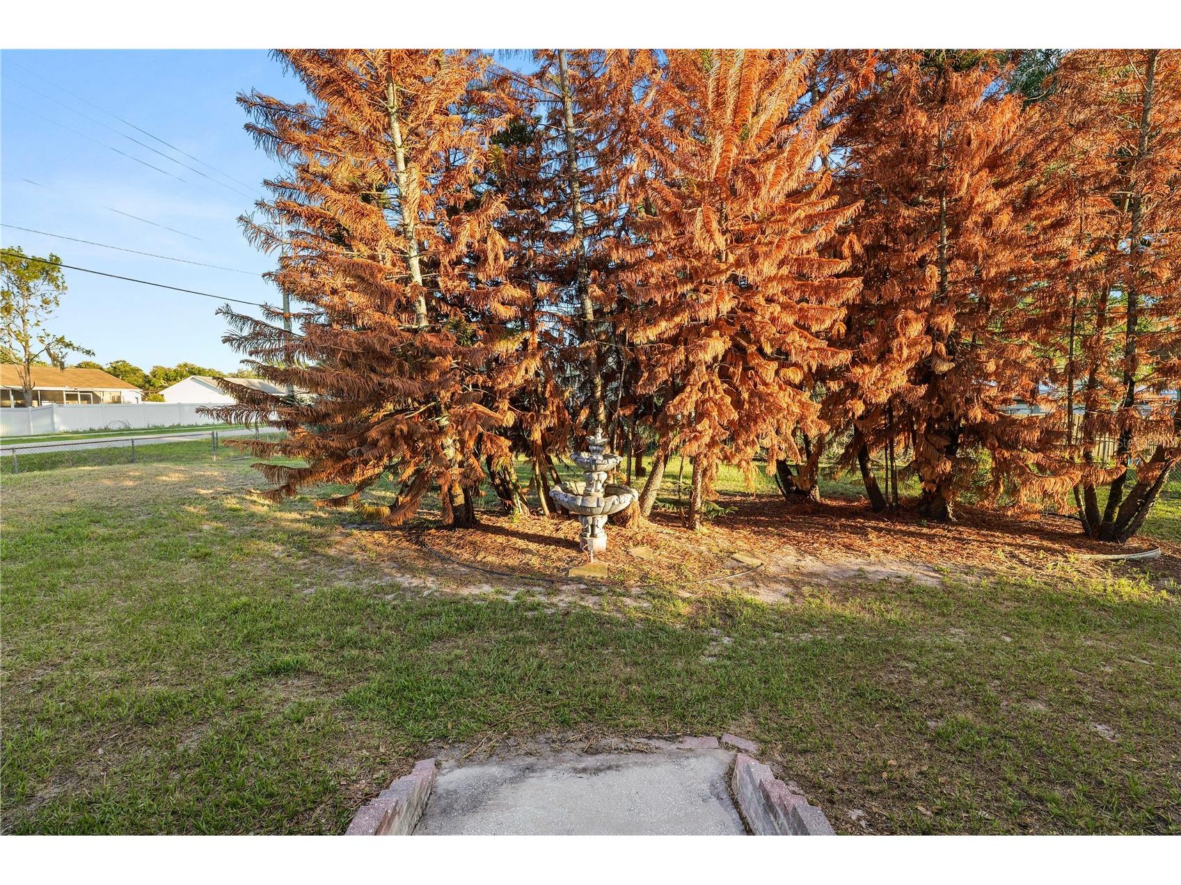2304 Cheshire Place Lakeland FL 33810 L4962005 image29