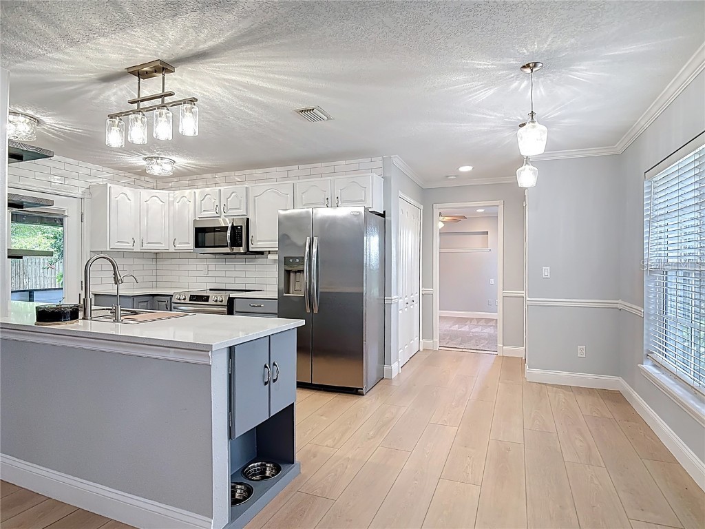 2304 Date Palm Drive Edgewater FL 32141 NS1085896 image4