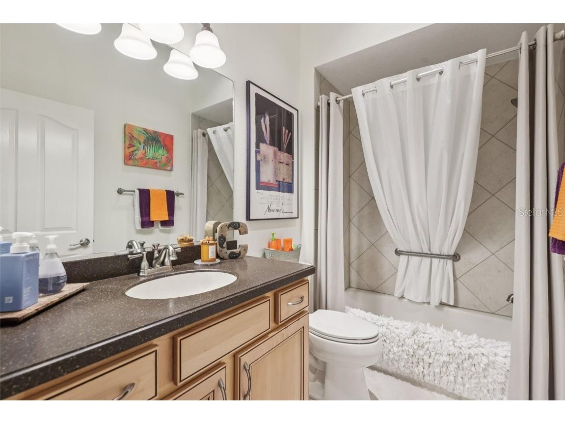 2304 Fringe Tree Trail The Villages FL 32162 O6355959 image18