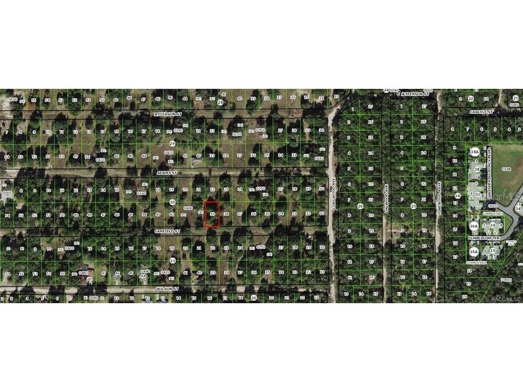 2304 Garfield Street Inverness FL 34453 OM680471 image1