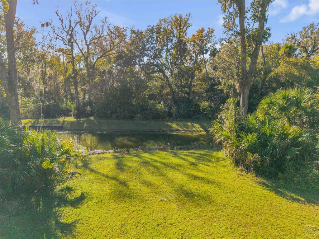 2304 Legacy Lane New Smyrna Beach FL 32168 NS1086509 image19