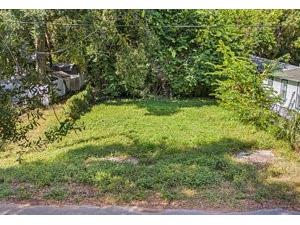 2304 N Grove Avenue Tampa FL 33602 A4668822 image1