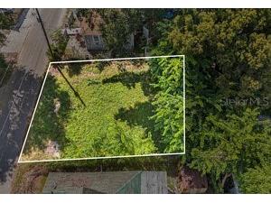 2304 N Grove Avenue Tampa FL 33602 A4668822 image2