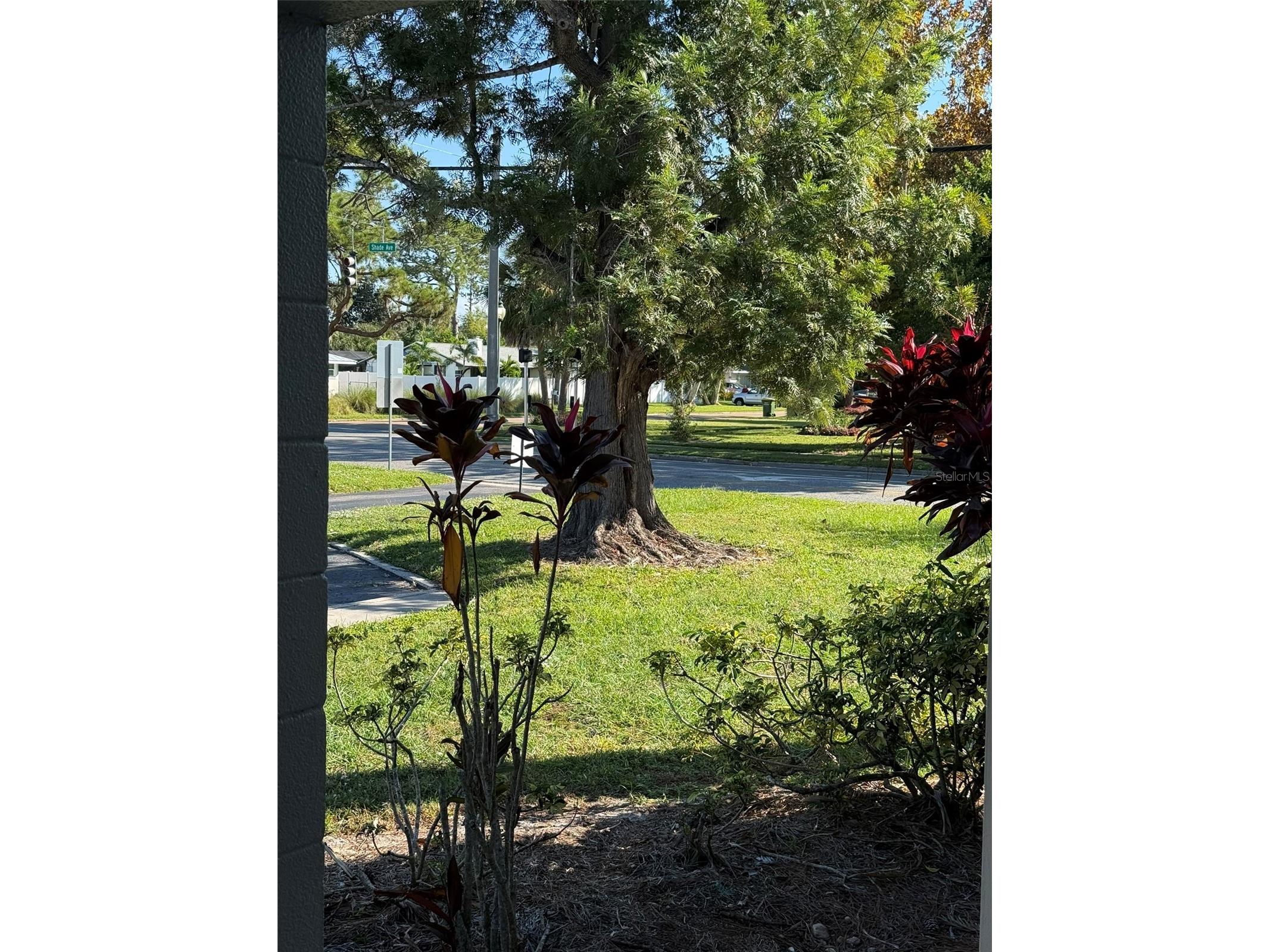 2304 Ringling Boulevard #101 Sarasota FL 34237 A4670262 image20