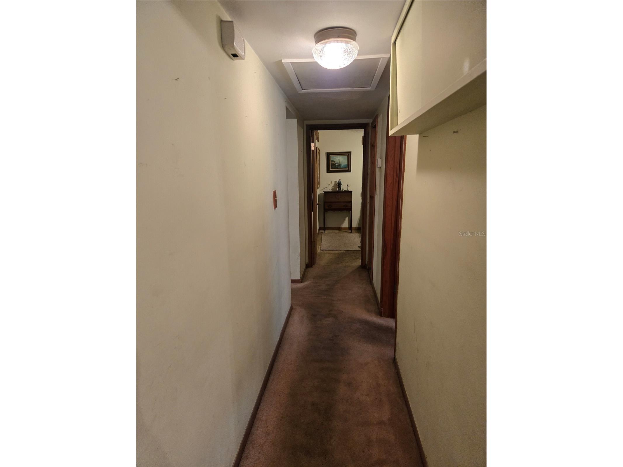 2304 W Woodlawn Ave Tampa FL 33618 TB8510460 image6