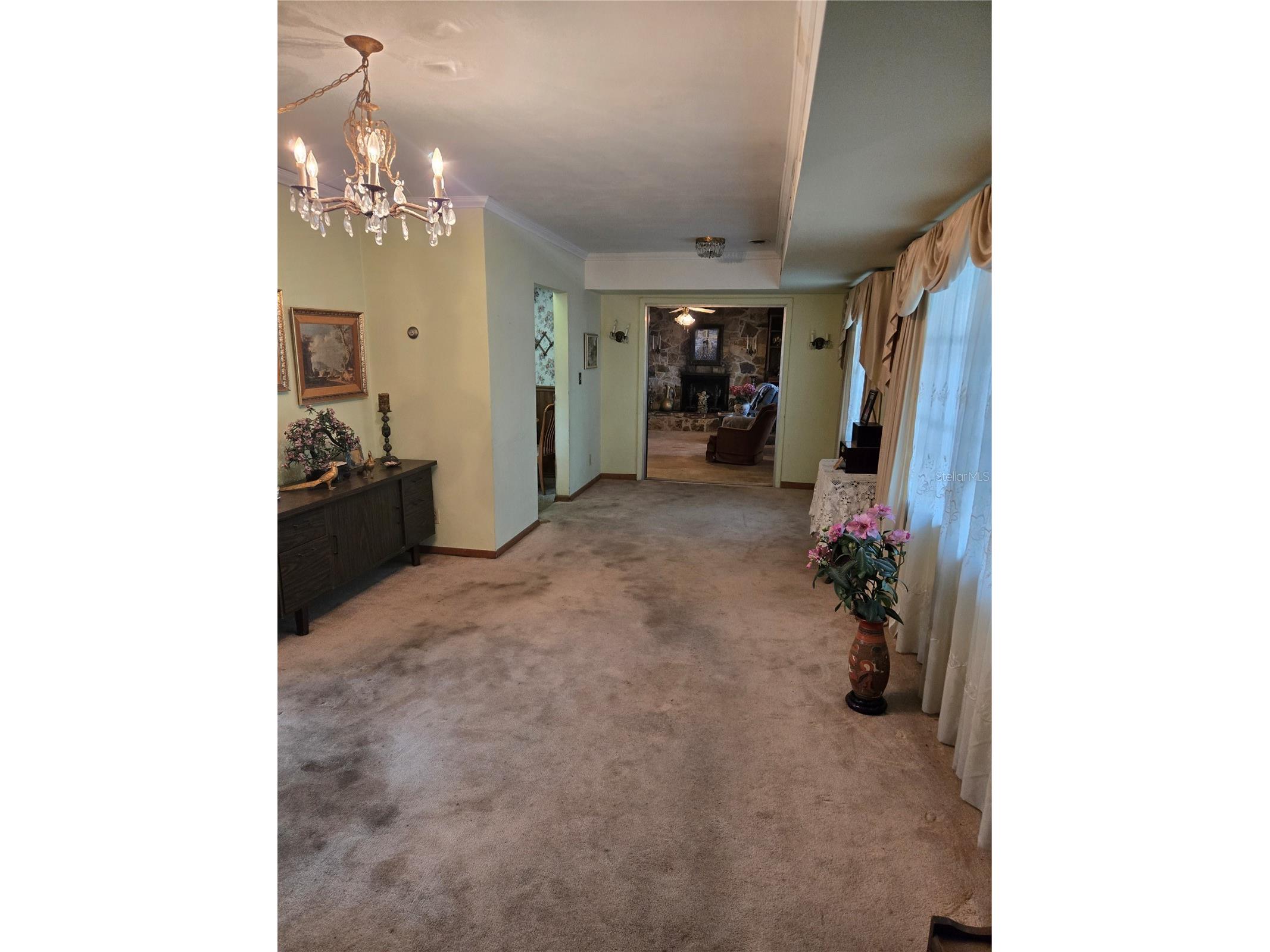 2304 W Woodlawn Ave Tampa FL 33618 TB8510460 image7