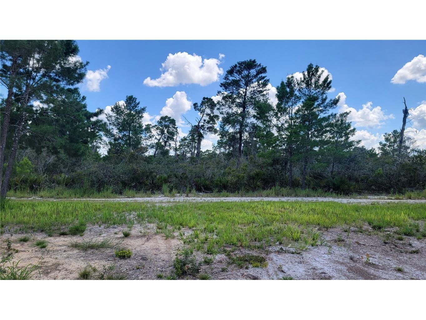 2305 Algonquin Drive Sebring FL 33876 T3479326 image1