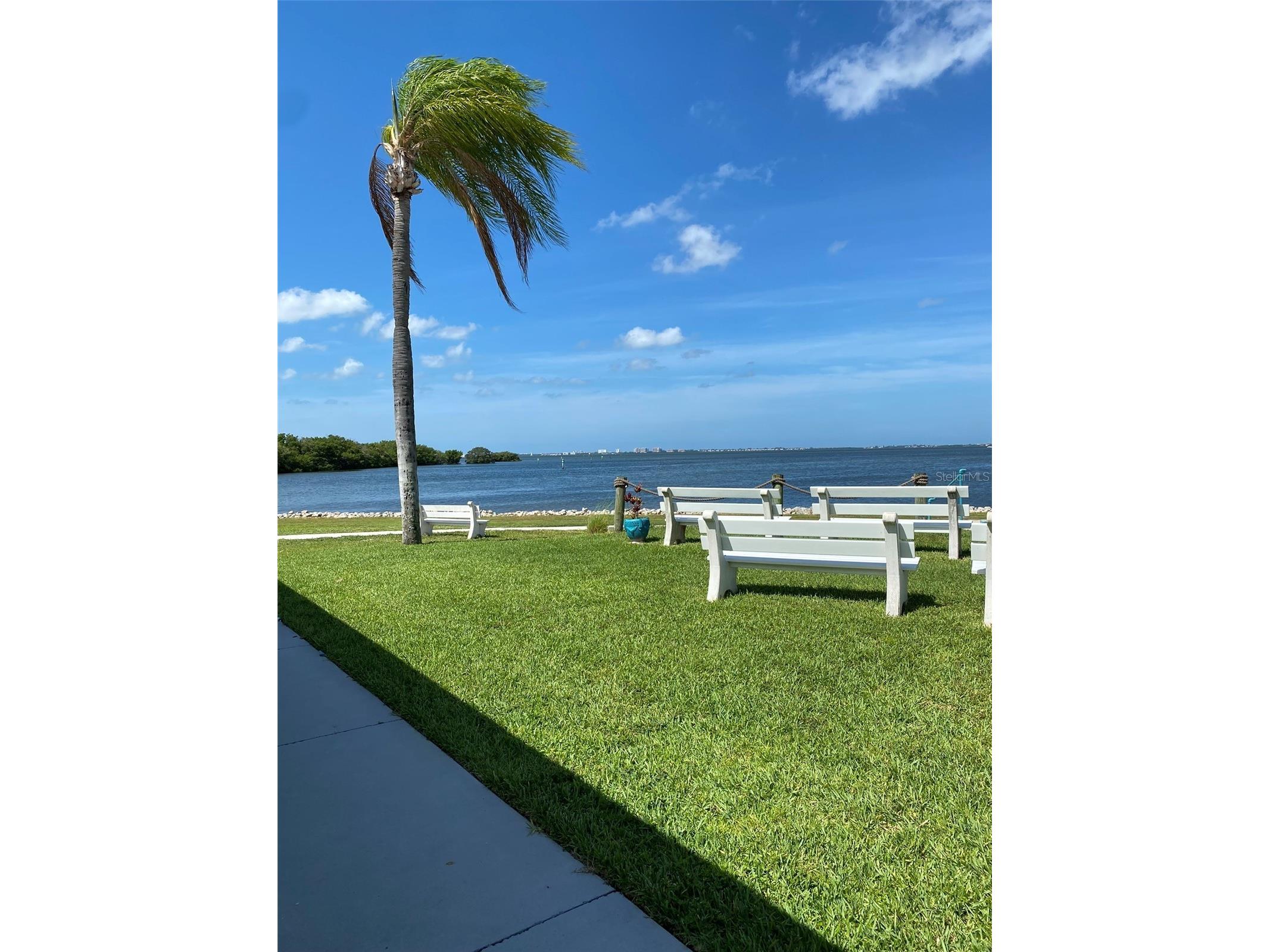 2305 Bay Drive Bradenton FL 34207 - SARASOTA BAY A4687650 image28