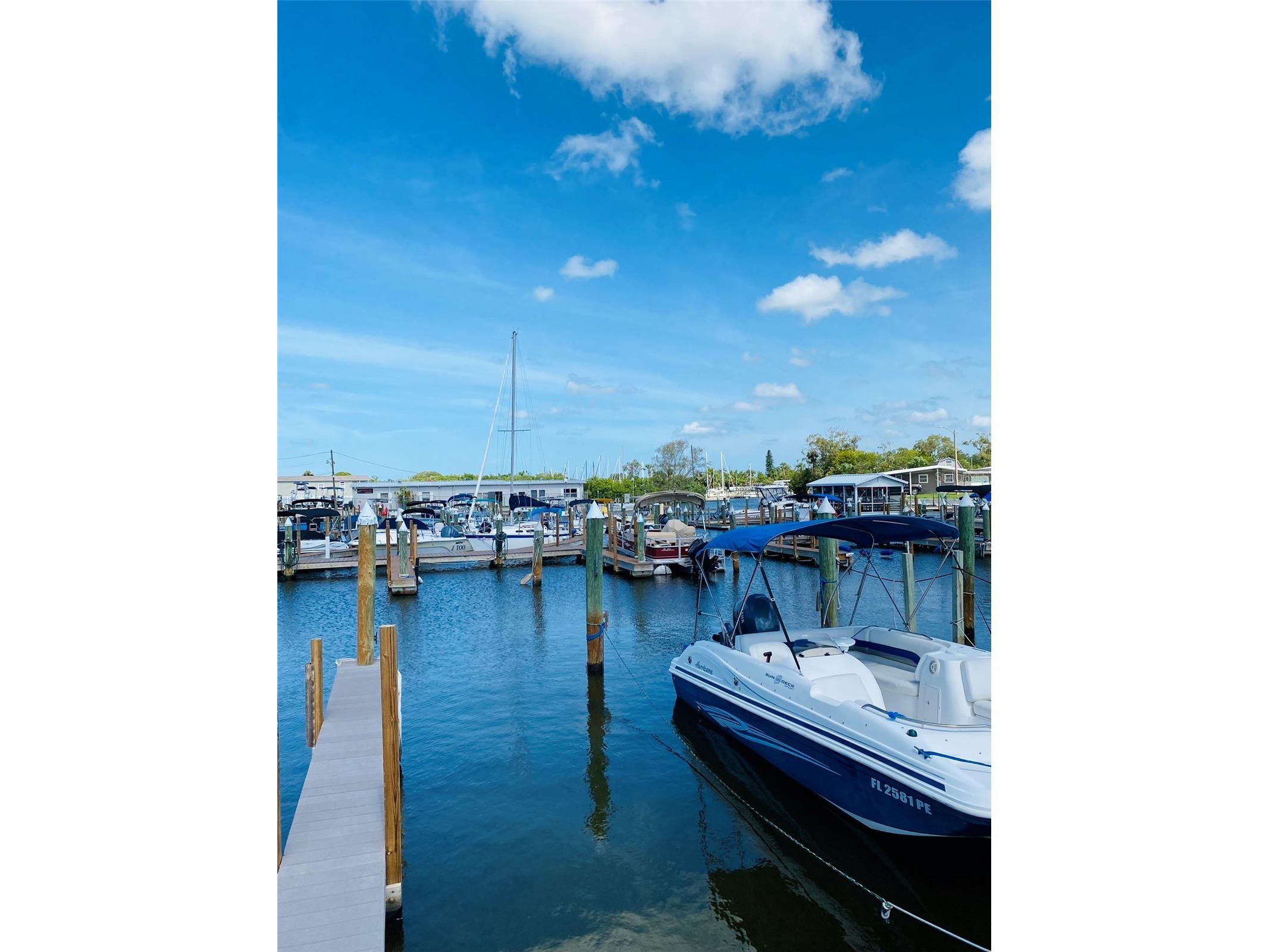 2305 Bay Drive Bradenton FL 34207 - SARASOTA BAY A4687650 image33