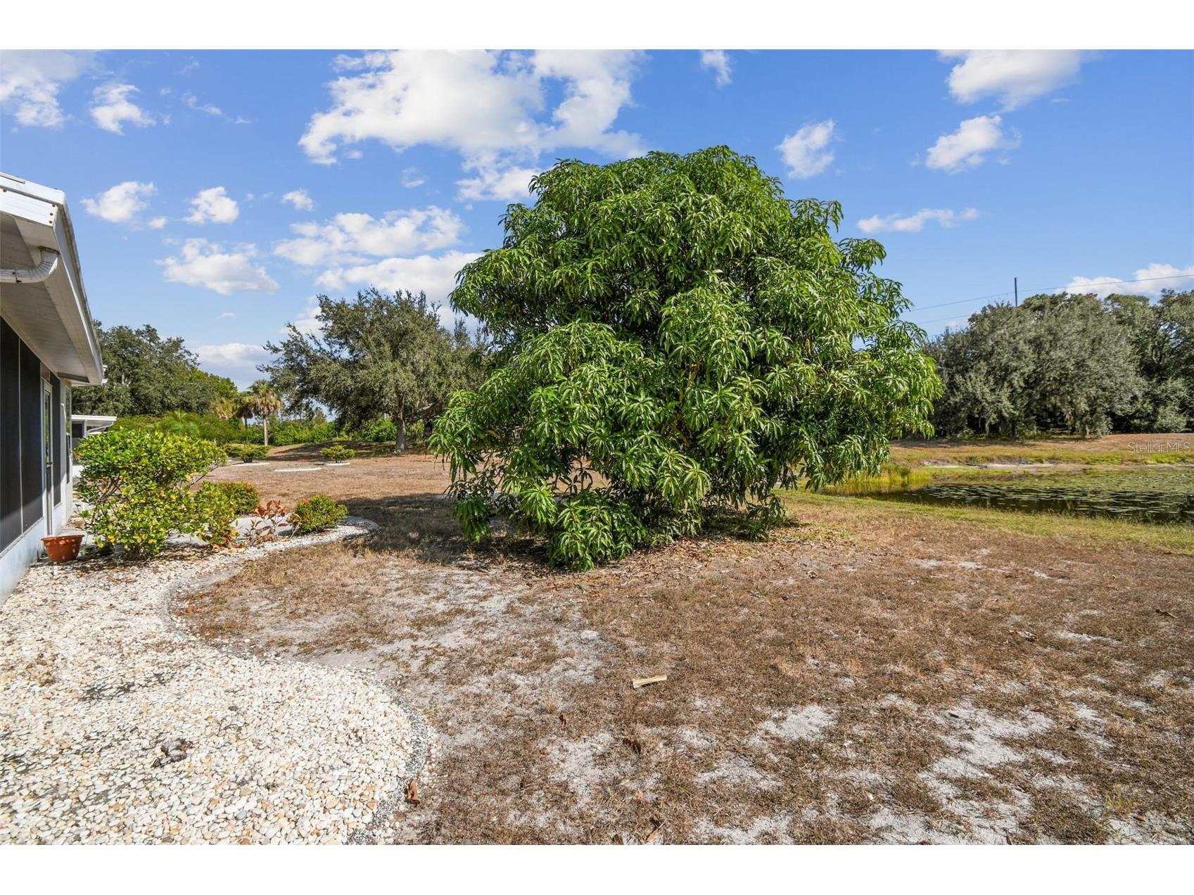 2305 E Del Webb Blvd Sun City Center FL 33573 TB8454009 image31