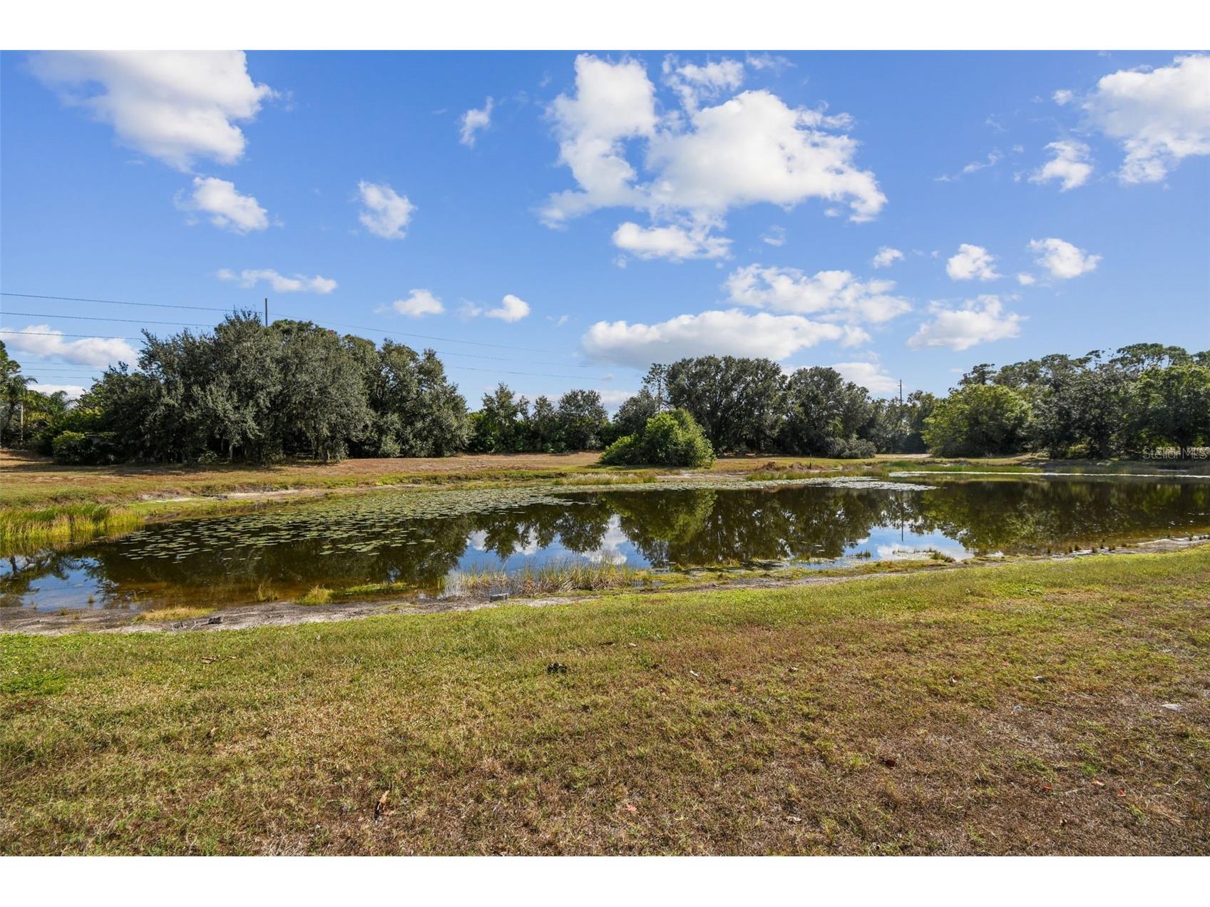 2305 E Del Webb Blvd Sun City Center FL 33573 TB8454009 image32