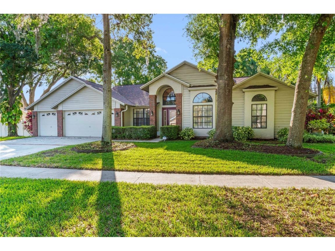 2305 Eagle Bluff Drive Valrico FL 33596 T3514369 image1