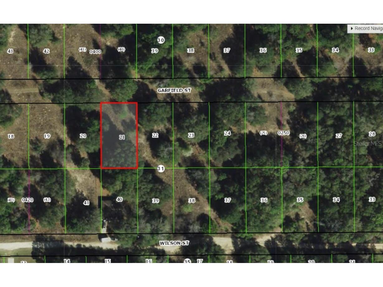 2305 Garfield Street Inverness FL 34453 OM709599 image1