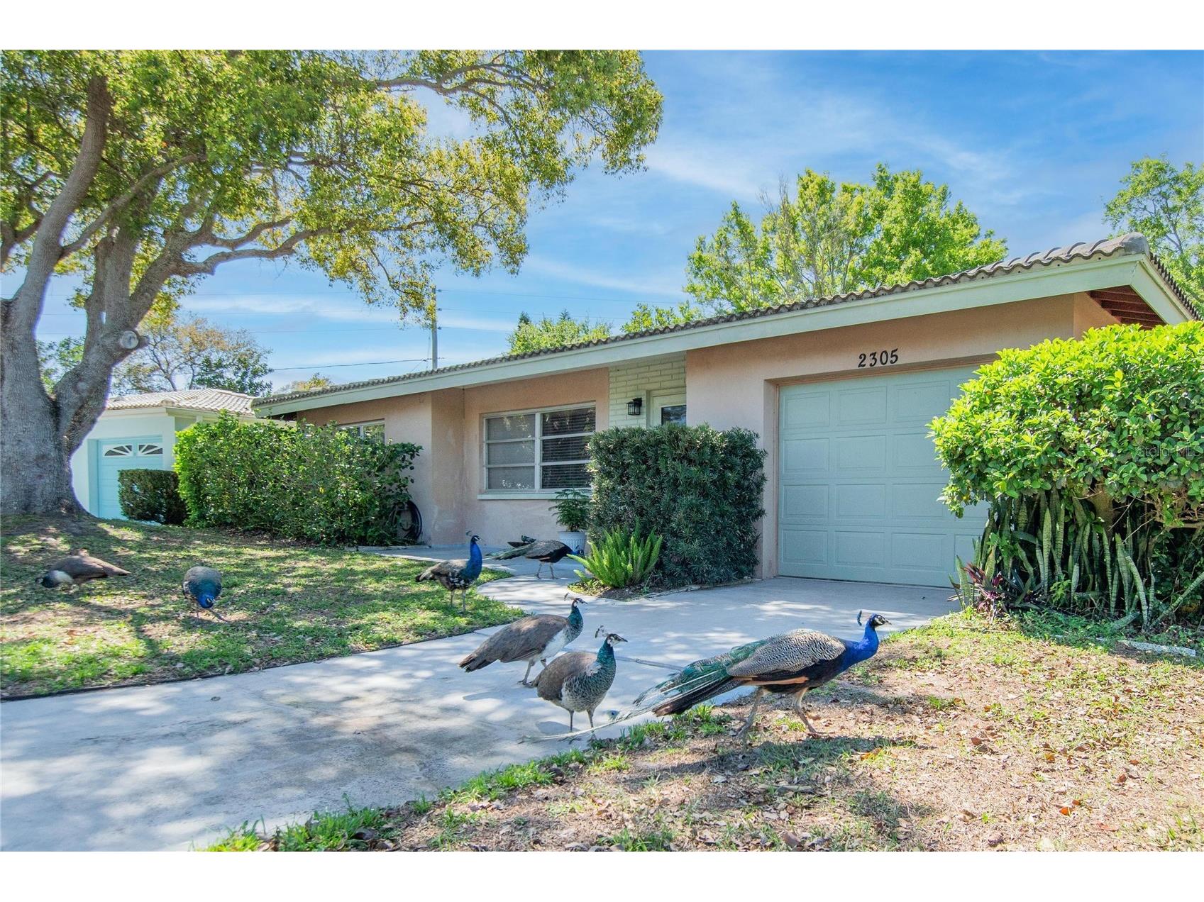 2305 Indigo Drive Clearwater FL 33763 TB8489010 image21
