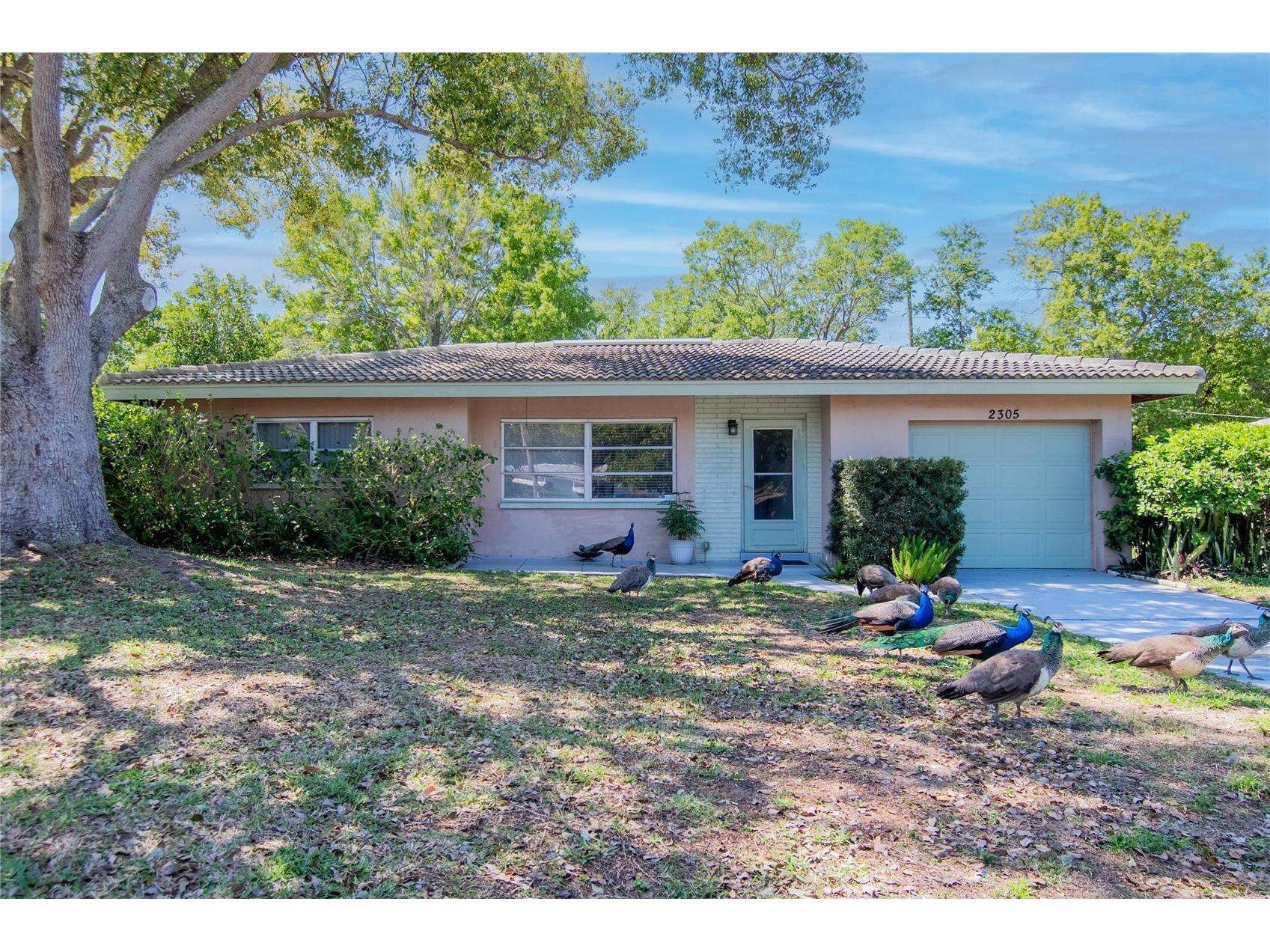 2305 Indigo Drive Clearwater FL 33763 TB8489010 image25