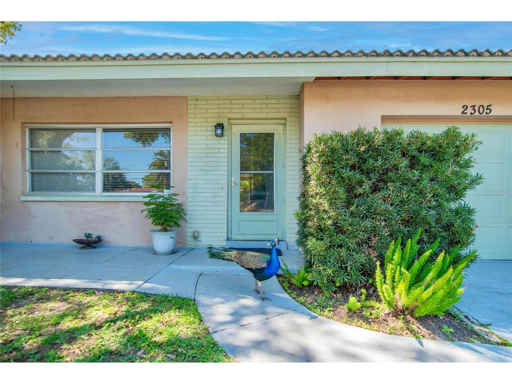 2305 Indigo Drive Clearwater FL 33763 TB8489010 image4