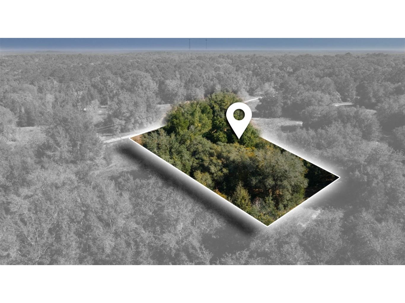 2305 Jefferson Street Inverness FL 34453 TB8448314 image1