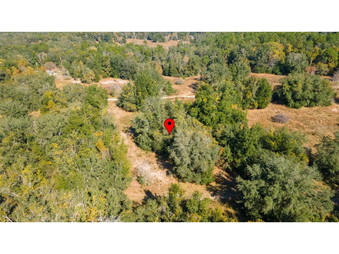 2305 Jefferson Street Inverness FL 34453 TB8448314 image3