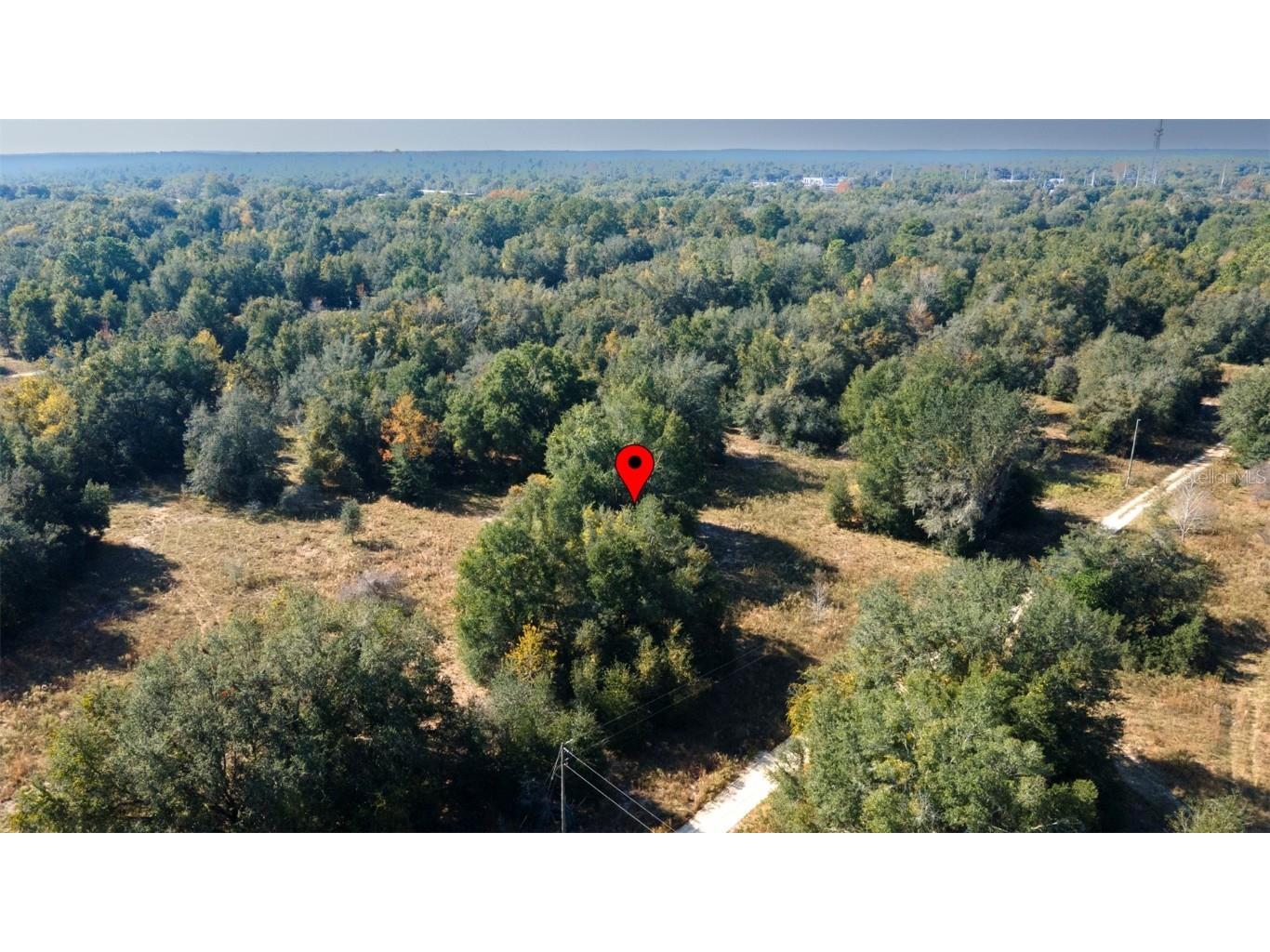 2305 Jefferson Street Inverness FL 34453 TB8448314 image6