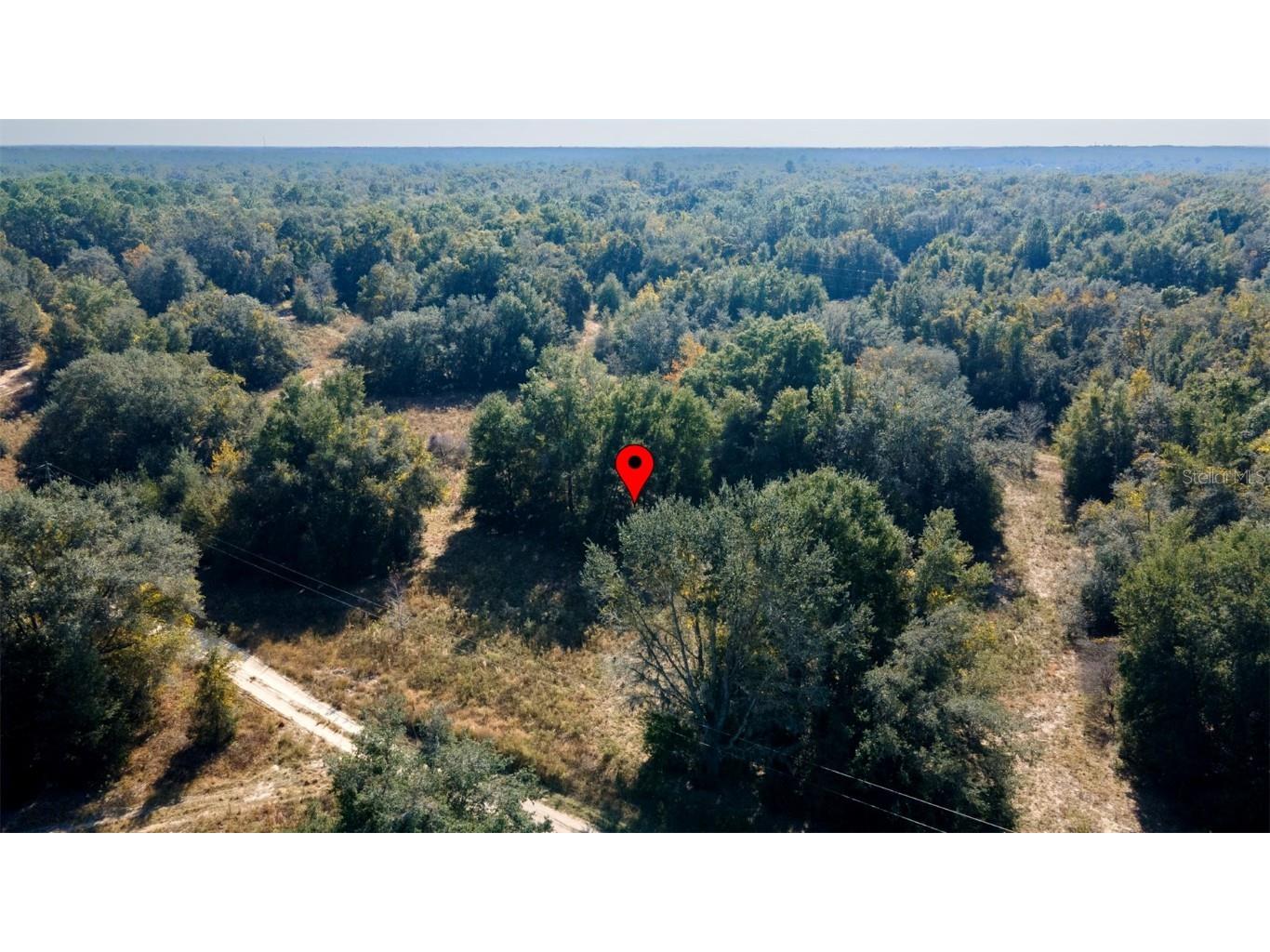 2305 Jefferson Street Inverness FL 34453 TB8448314 image8