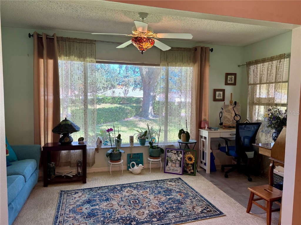 2305 Olive Branch Drive Sun City Center FL 33573 TB8440971 image12