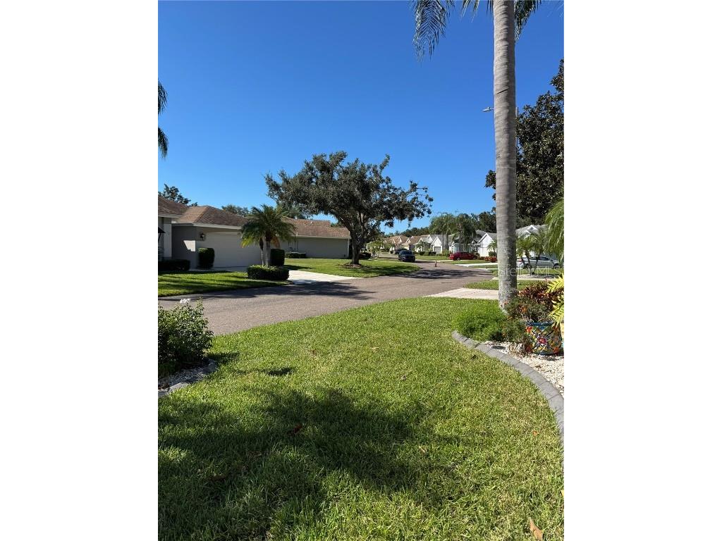 2305 Olive Branch Drive Sun City Center FL 33573 TB8440971 image2