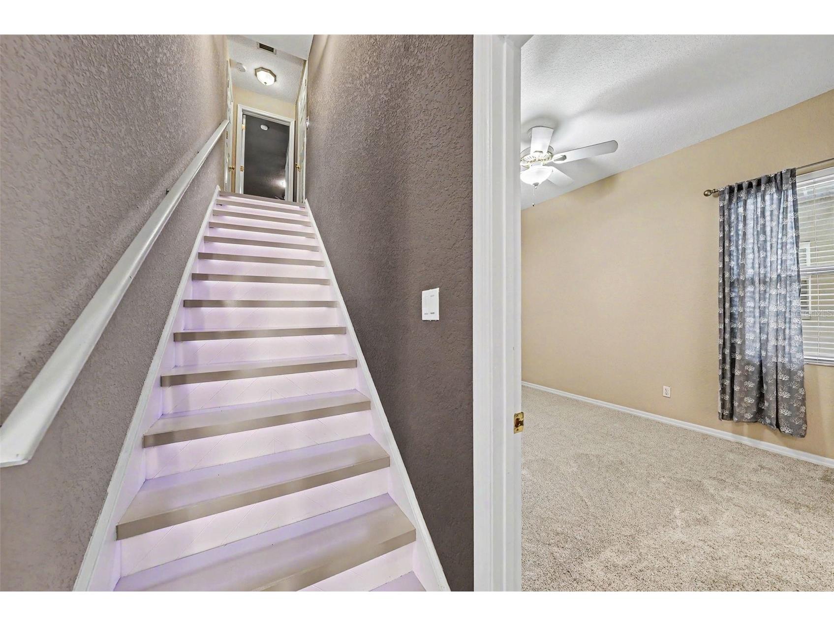 2305 Valrico Forest Drive Valrico FL 33594 TB8511529 image15