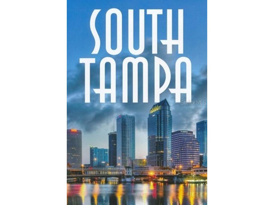 2305 W Texas Avenue #5 Tampa FL 33629 TB8510110 image23