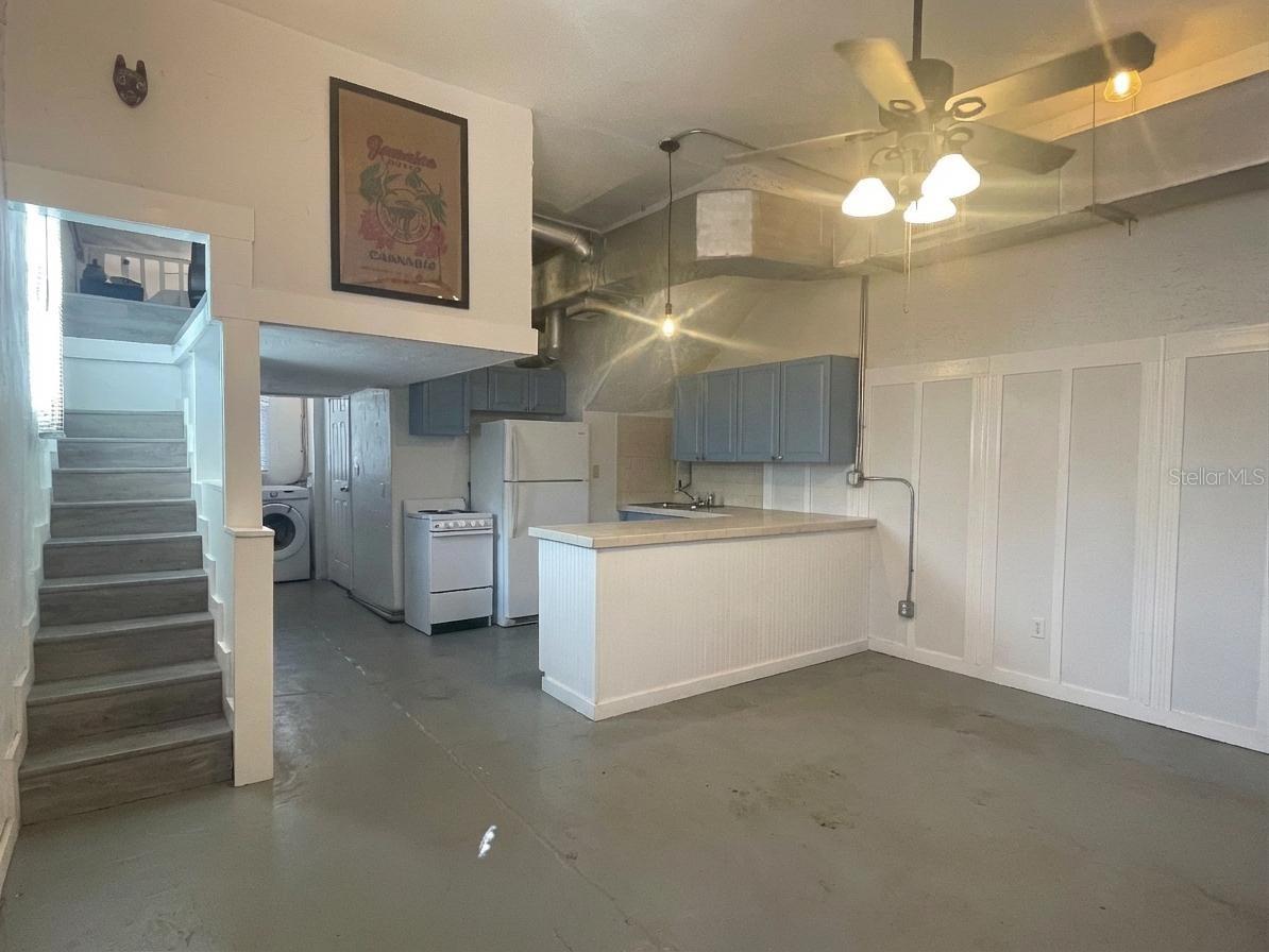 2305 W Texas Avenue #7 Tampa FL 33629 TB8484074 image12