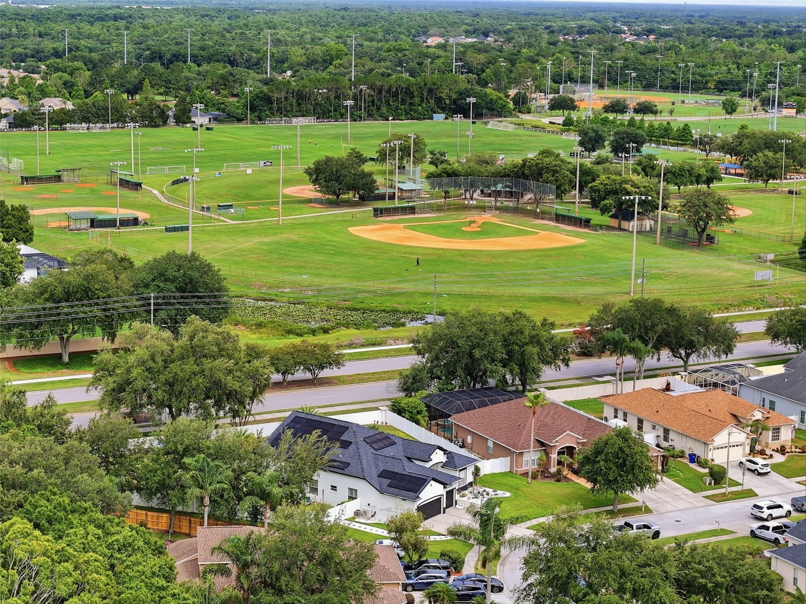 23051 Eagles Watch Drive Land O Lakes FL 34639 W7886355 image82