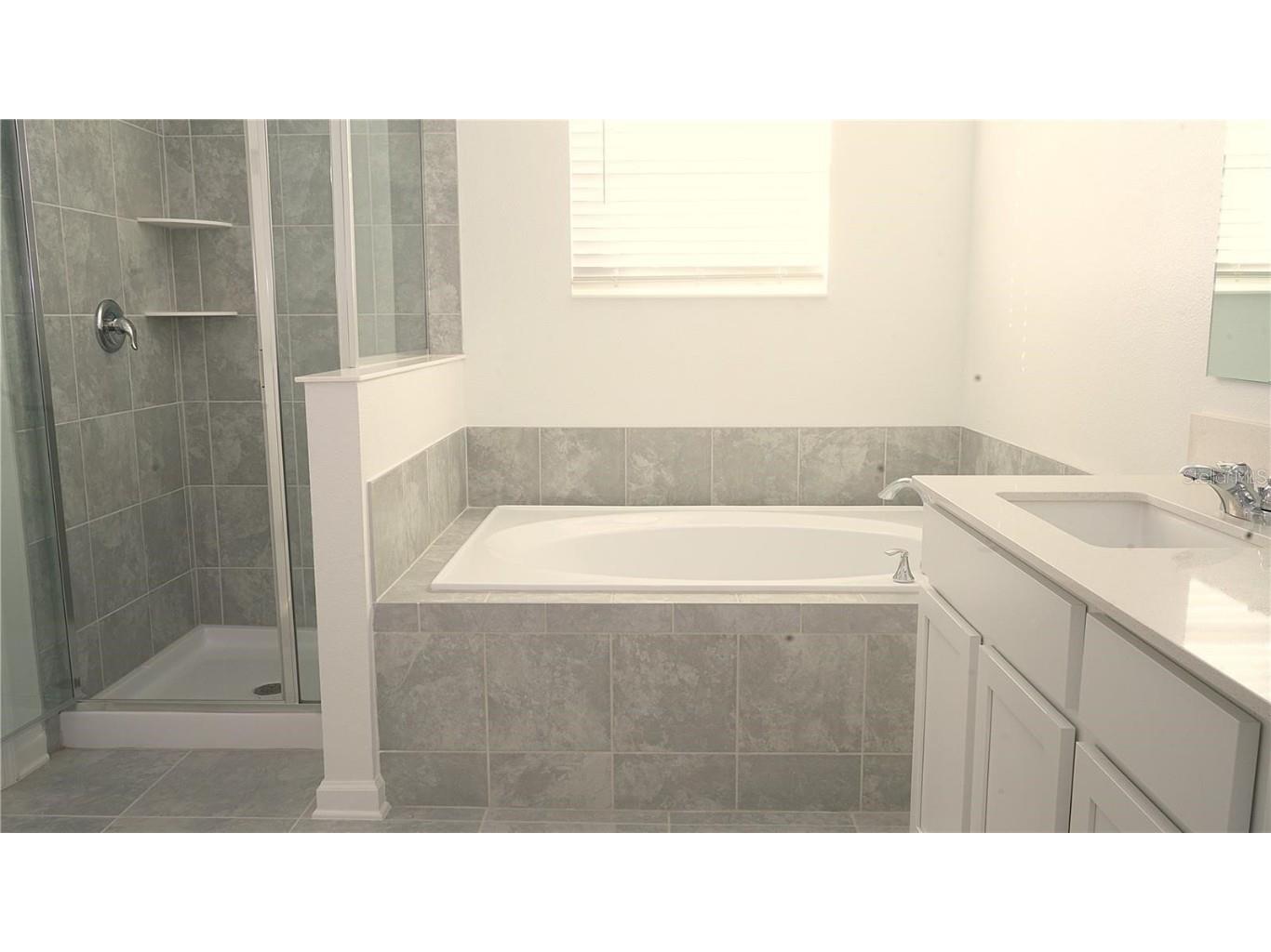 2306 Amorie Drive Kissimmee FL 34746 O6349436 image14