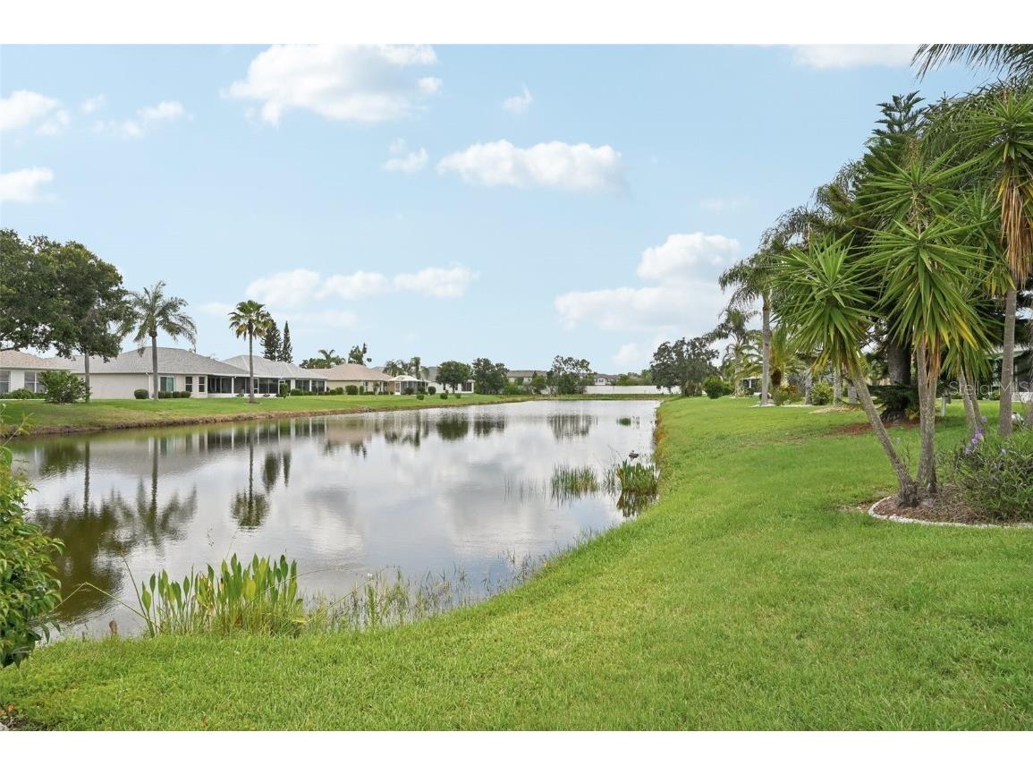 2306 Emerald Lake Drive Sun City Center FL 33573 TB8396367 image6