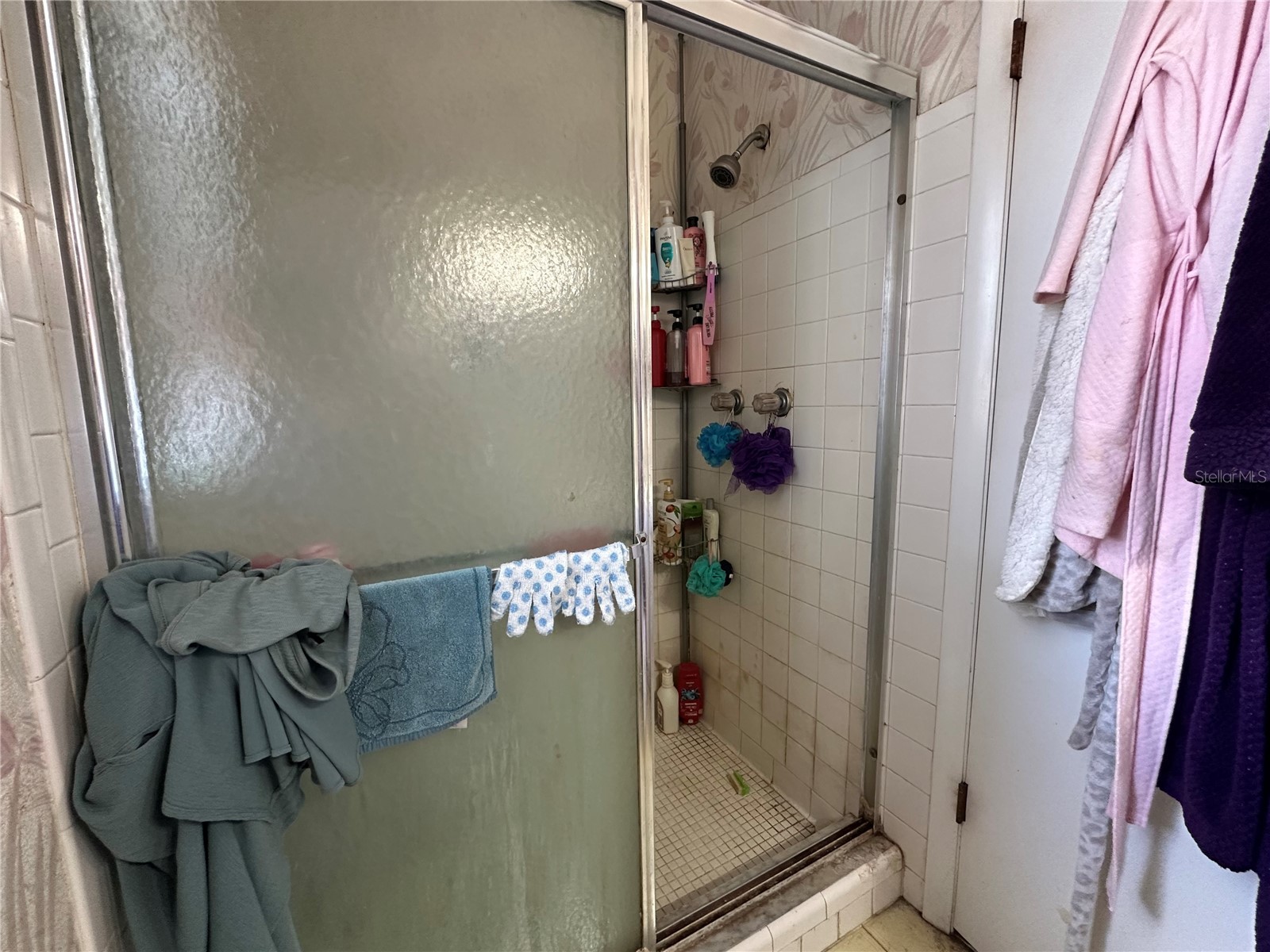 2306 Lincoln Court Brandon FL 33510 TB8512028 image19
