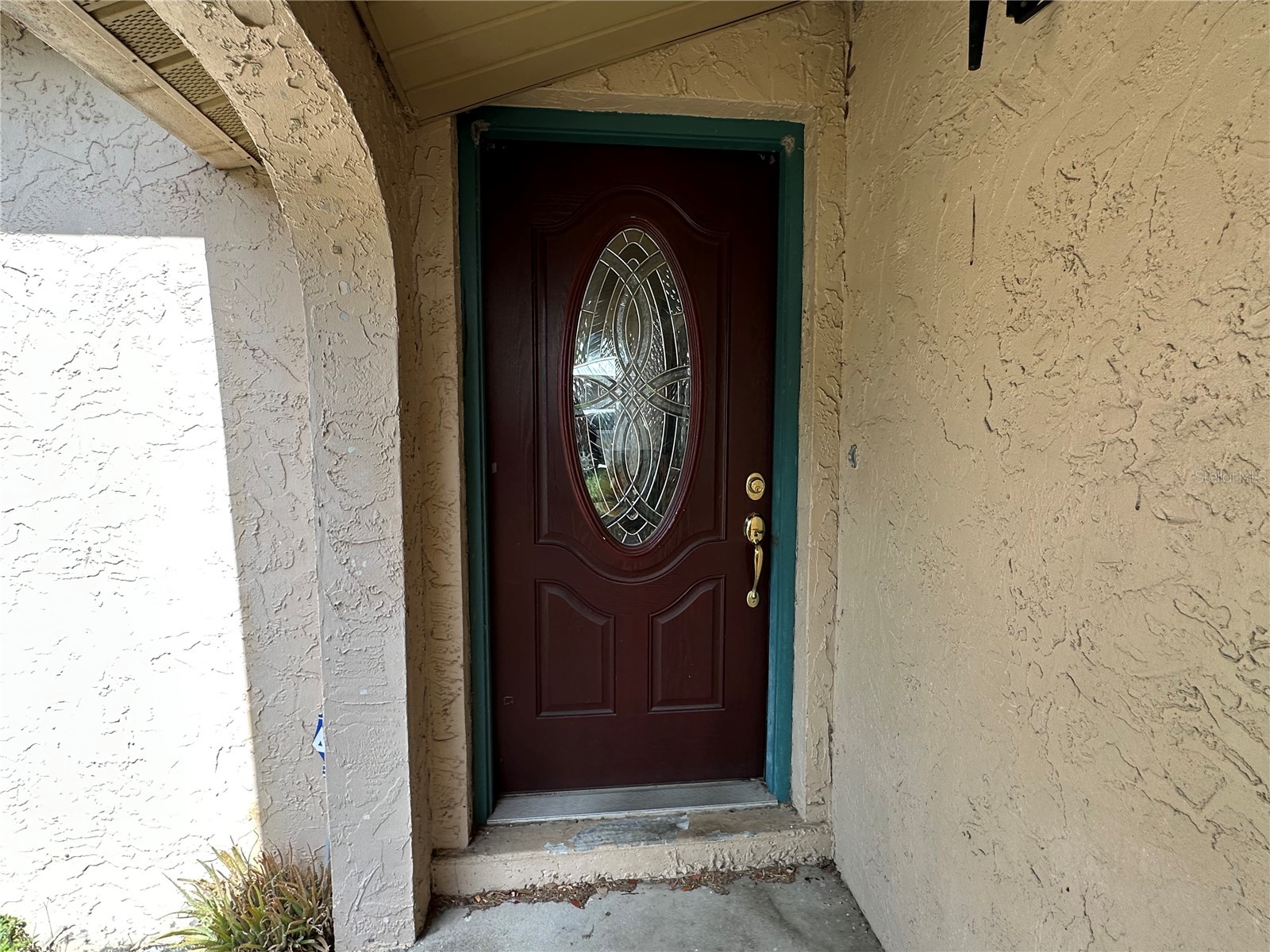 2306 Lincoln Court Brandon FL 33510 TB8512028 image4
