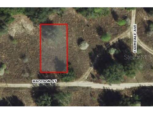 2306 Madison Street Inverness FL 34453 OM691880 image1