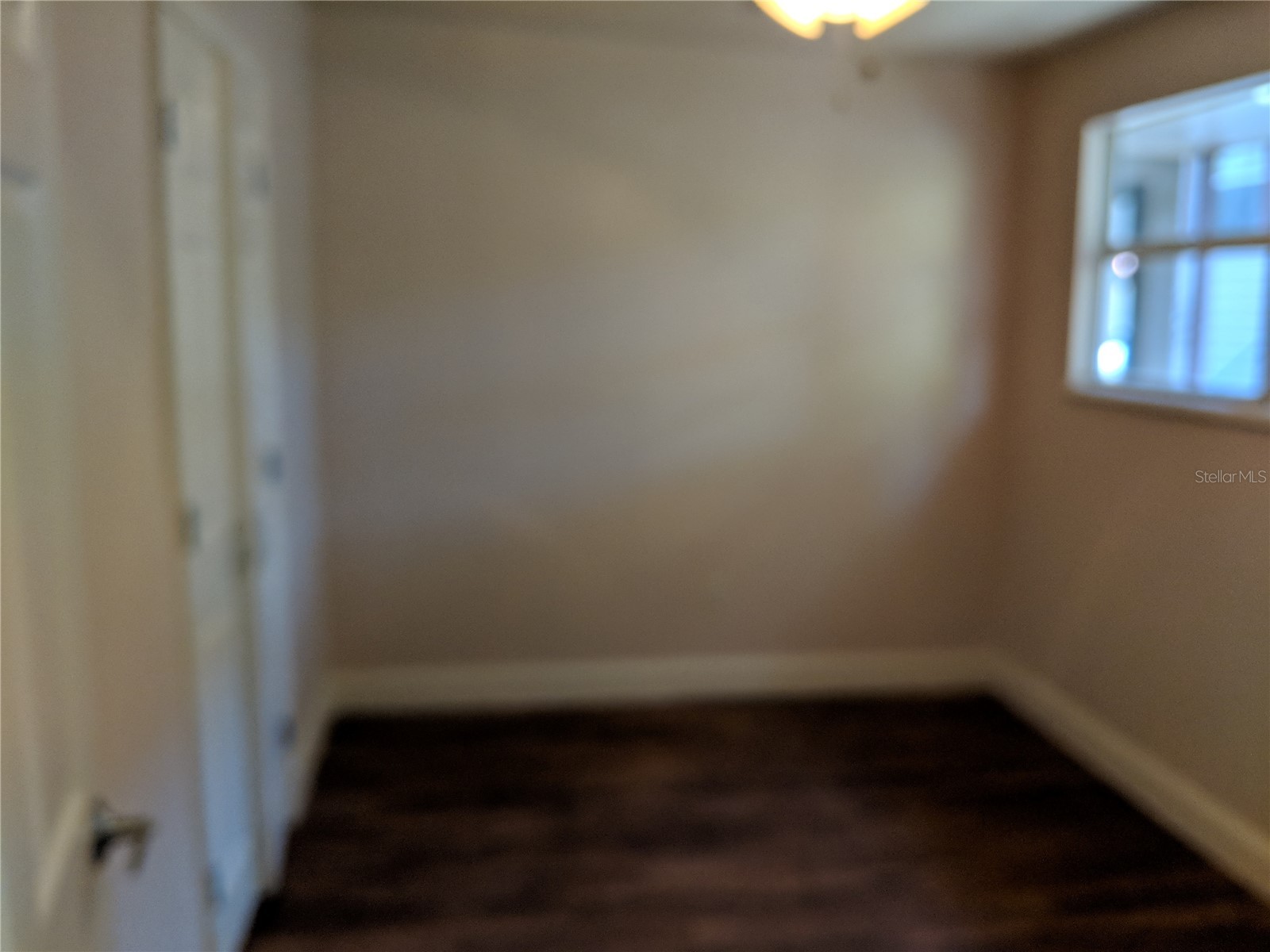 2306 N Morgan Street Tampa FL 33602 TB8445667 image37