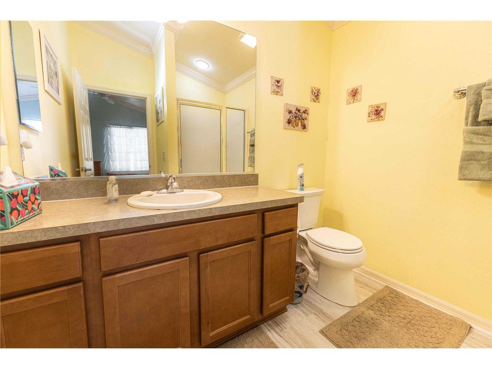 2306 Nackman Place The Villages FL 32162 G5110942 image17