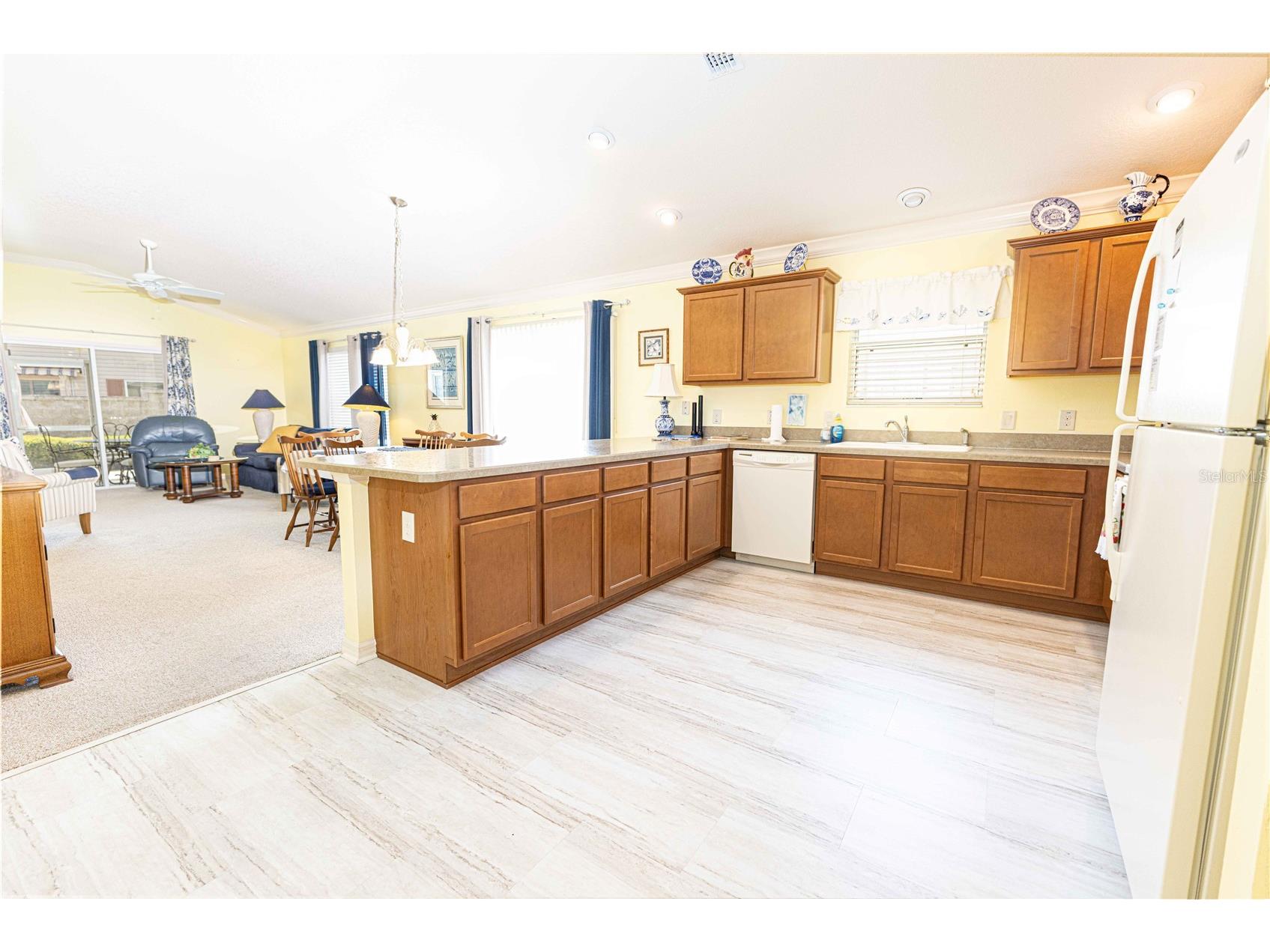 2306 Nackman Place The Villages FL 32162 G5110942 image6