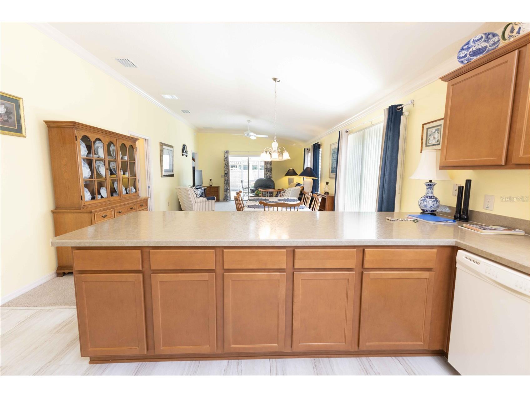2306 Nackman Place The Villages FL 32162 G5110942 image7
