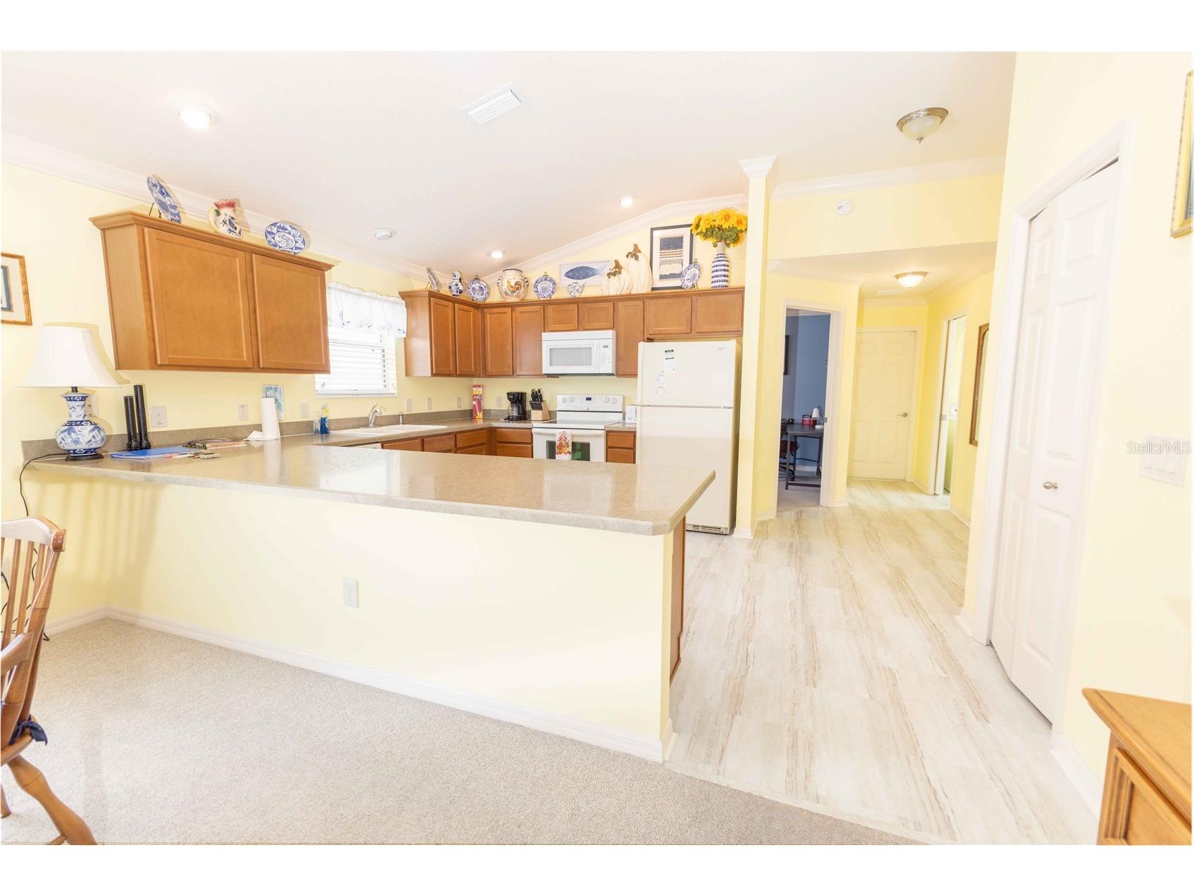 2306 Nackman Place The Villages FL 32162 G5110942 image8