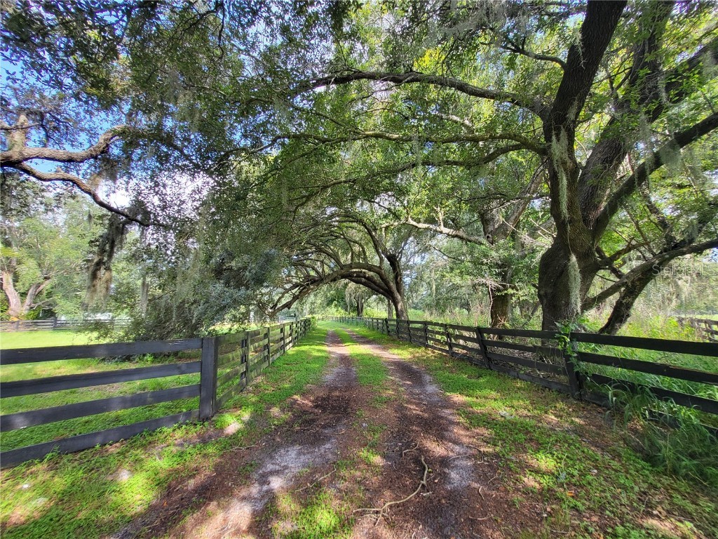 2306 NW Murphy Street Arcadia FL 34266 C7496540 image1