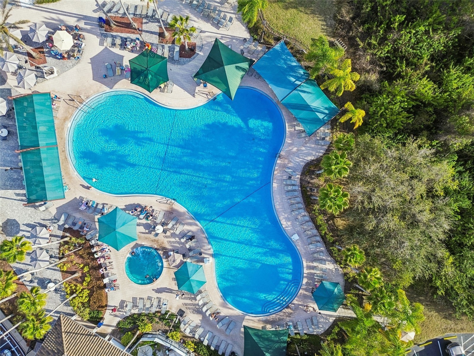 2306 Oakley Green Drive #62 Sun City Center FL 33573 TB8491730 image67